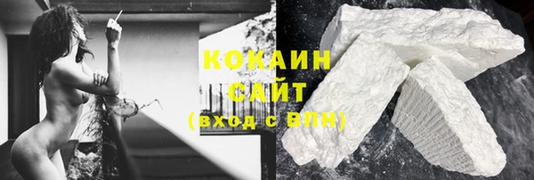 соль ск Алексин