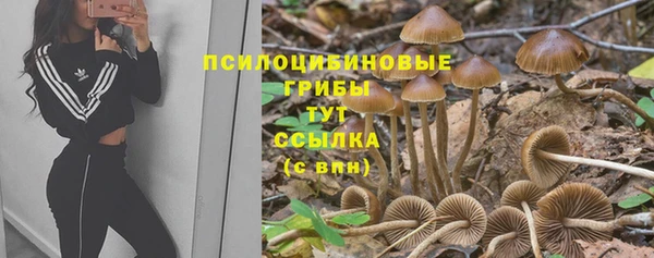 соль ск Алексин